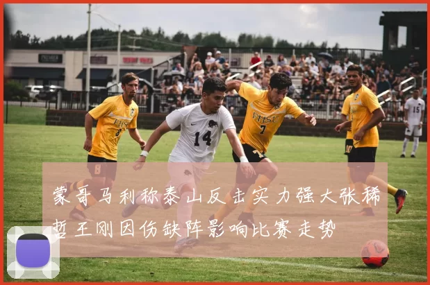 蒙哥马利称泰山反击实力强大张稀哲王刚因伤缺阵影响比赛走势